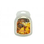 Chestnut Hill Candle Vonný Vosk Gingerbread 105 g – Hledejceny.cz
