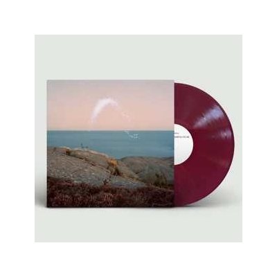 Cassandra Jenkins - An Overview On Phenomenal Nature LTD LP – Hledejceny.cz