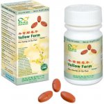 Green Nature Gui Zhi Tang Pian Cinnamon Form 008 60 pilulek – Hledejceny.cz