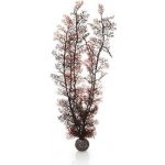 BiOrb Sea Fan karmínová 49 cm – Hledejceny.cz