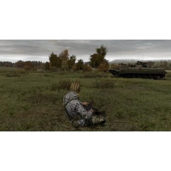 ArmA 2