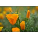 Nikon D3400 – Zboží Živě