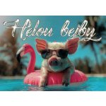 Pohlednice Helou bejby prasátko – Zbozi.Blesk.cz