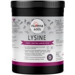 NuVena Lysine lysin pro koně 1300 g – Hledejceny.cz