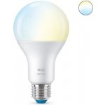 WiZ LED žárovka E27 A67 13W 1521lm 2700-6500K IP20, stmívatelná – Sleviste.cz