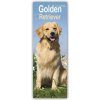 Kalendář Golden Retrievers Golden Retriever 2024