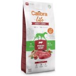 Calibra Dog Life Adult Large Fresh Beef 2 x 12 kg – Hledejceny.cz