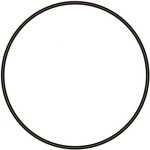 Sera těsnící O-kroužek 79 mm – Zboží Dáma