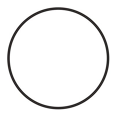 Sera těsnící O-kroužek 79 mm – Zboží Dáma