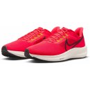 Nike Air Zoom Pegasus 39 dh4071-600