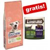 Vitamíny pro zvířata Purina Dog Chow Adult Large krůta 14 kg
