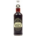 Fentimans Curiosity Cola 0,75 l – Zboží Dáma Fentimans Curiosity Cola 0,75 l – Zboží Dáma