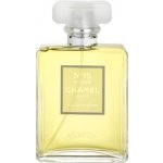 Chanel No.19 Poudré parfémovaná voda dámská 100 ml tester – Hledejceny.cz