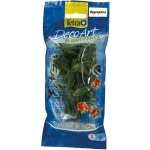 Tetra Hygrophila S 15 cm – Sleviste.cz