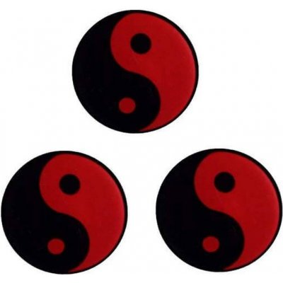 PRO´S Pro Tai Chi 3ks – Zboží Mobilmania