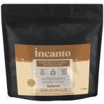Salente Incanto směs arabica/robusta 50/50 zrnková 250 g – Hledejceny.cz