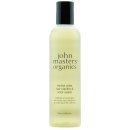 John Masters Organics Rozjasňovač vlasů Herbal Cider Hair Clarifier & Color Sealer 236 ml
