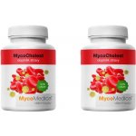MycoMedica MycoCholest 2 x 120 kapslí – Hledejceny.cz