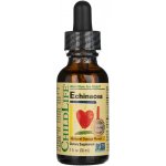 ChildLife Essentials Echinacea pro děti přírodní pomeranč kapky 30 ml – Hledejceny.cz