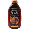 Garnier Botanic Therapy Revitalizing Shampoo se zázvorem a medem 400 ml