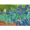 Puzzle Enjoy Vincent Van Gogh: Kosatce 1000 dílků