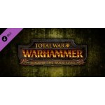 Total War: WARHAMMER - Realm of the Wood Elves Campaign Pack – Hledejceny.cz