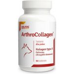 Dolfos ArthroCollagen přípravek na klouby kolagen typu II 90 ks. – Hledejceny.cz