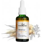 Soaphoria Mrkvový olej s pipetou 50 ml – Hledejceny.cz