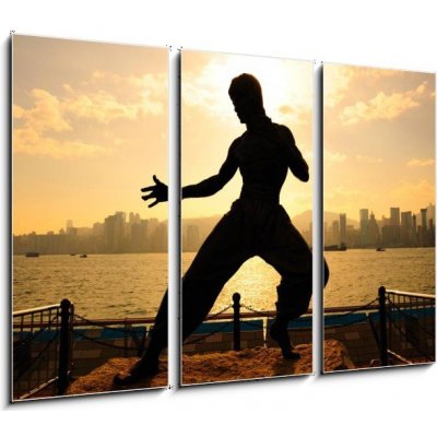 Obraz 3D třídílný - 105 x 70 cm - Bruce lee in Hong kong Bruce Lee v Hongkongu