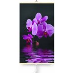 Trio T0619 Orchidej – Sleviste.cz