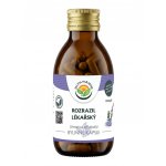 Salvia Paradise Rozrazil lékařský kapsle 120 ks – Hledejceny.cz