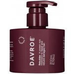 Davroe Rebuilder A Protein Rich Treatment 200 ml – Hledejceny.cz