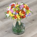 Rozvoz květin: Kytice 135 barevných čerstvých frézií - Mělník – Zboží Mobilmania