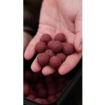 Karel Nikl Ready boilies Strawberry 1 kg 24 mm – Hledejceny.cz