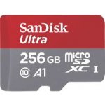 SanDisk microSDXC 256 GB UHS-I U1 173399 – Hledejceny.cz