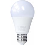 Tesla LED žárovka BULB E27, 14W, 230V, 1521lm, 25 000h, 6500K studená bílá 220st – Hledejceny.cz