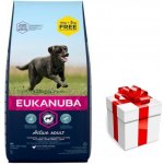 Eukanuba Active Adult Large Breeds Chicken 18 kg – Hledejceny.cz