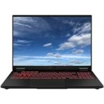 Asus TUF Gaming A16 FA608UH-RV010 – Zboží Živě