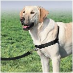 PetSafe Postroj EasyWalk – Zboží Dáma PetSafe Postroj EasyWalk – Zboží Dáma