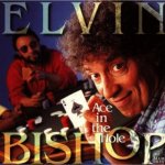 Bishop Elvin - Ace In The Hole CD – Hledejceny.cz