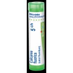 CALCAREA FLUORICA POR 5CH GRA 1X4G – Hledejceny.cz