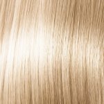 Pallete Intensive Color Creme C10 Ledový stříbřitě plavý barva na vlasy – Hledejceny.cz