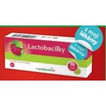 Moje lékárna Lactobacilky 30 tablet – Hledejceny.cz