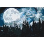 Vymalujsisam.cz Malování podle čísel Úplněk nad lesem – Zboží Dáma