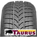 Taurus 601 Winter 195/65 R15 95T