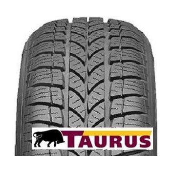 Taurus 601 Winter 195/65 R15 95T