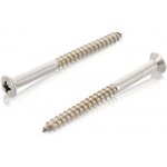 Vrut do dřeva 5x50 PZ, A2 čočkovitá hlava / balení 200 ks – Zboží Mobilmania