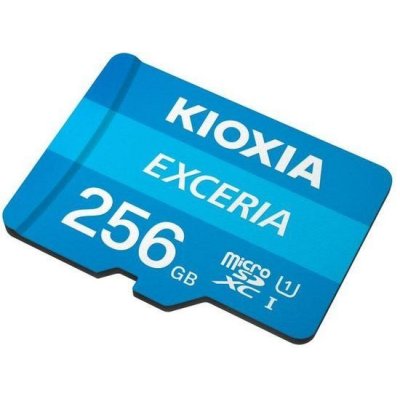 KIOXIA EXCERIA microSDXC UHS-I U1 256 GB LMEX1L256GG2 – Hledejceny.cz