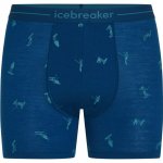 ICEBREAKER Mens Anatomica Boxers Cloud Ray (vzorek) – Zboží Dáma