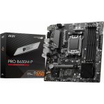 MSI PRO B650M-P – Hledejceny.cz